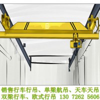 广东湛江3吨行车吊厂家 0.5吨-200吨行吊型号全