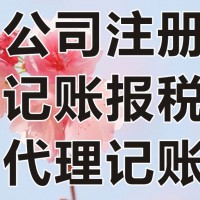 专业办理公司注册、税务代理【我专心你放心 】