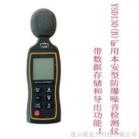 直销矿用本安型防爆噪音检测仪新款YSD130(B)