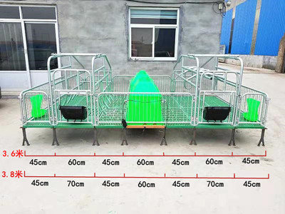 母猪产床  母猪全复合分娩床现货出售