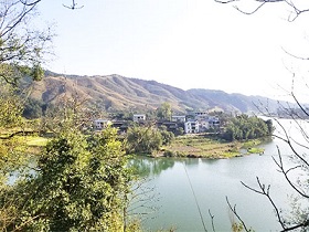 浙江茶山加盟，湖州转运珍茶，浙江茶山租赁，浙江众扶农业