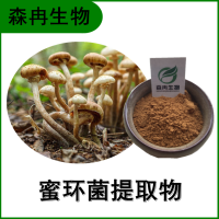 蜜环菌提取物 蜜环菌多糖 榛蘑浓缩粉 多种规格 全水溶