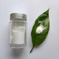 锂电池膜氮掺杂红移10nm二氧化钛粉末CY-TA10N