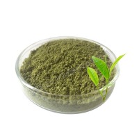 绿茶粉果蔬粉植物提取物实力工厂