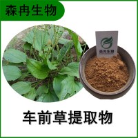 森冉生物 车前草提取物 车轮草提取物 植物提取原料粉