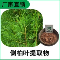 森冉生物 侧柏叶提取物 扁柏叶提取物 植物提取原料粉