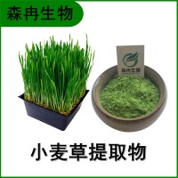 森冉生物 小麦草提取物 小麦苗提取物 植物提取原料粉