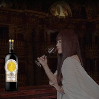 IRENENA红酒温碧霞自创品牌进口智利干红葡萄酒佳酿