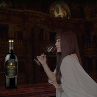 IRENENA红酒温碧霞自创品牌国产干红葡萄酒贺兰山东麓产区