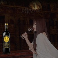 IRENENA红酒温碧霞自创品牌智利葡萄酒风味美乐酒庄干红