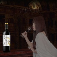 IRENENA红酒温碧霞自创品牌进口法国葡萄酒海潮丹娜干红